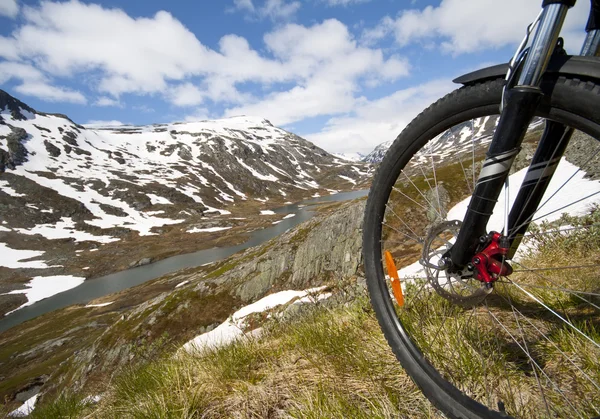Mountain bike rider view — Stock Photo, Image
