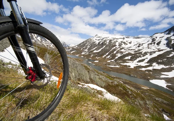 Mountain bike vista cavaliere — Foto Stock
