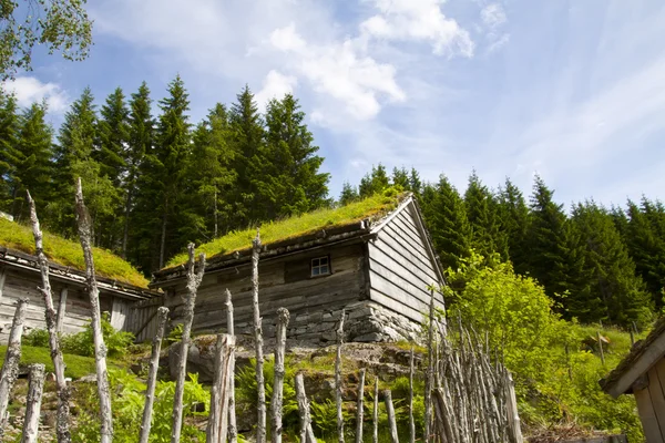 Традиционные дома в Норвегии — стоковое фото