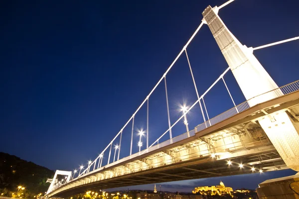 Budapest Elisabeth Bridge — Stock Photo, Image