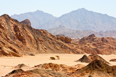 Sinai desert view clipart