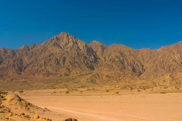 Vista do deserto do Sinai — Fotografia de Stock