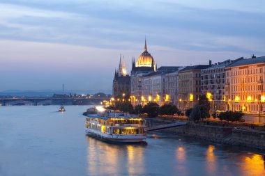 Night view of Budapest clipart