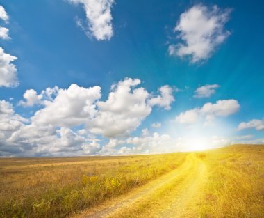 Field on a sunset under blue sky landscape clipart