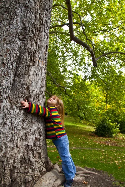 Girl and tree — Stock Photo, Image