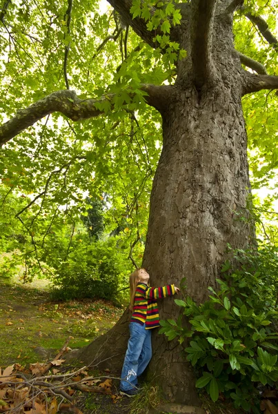 Menina e árvore — Fotografia de Stock