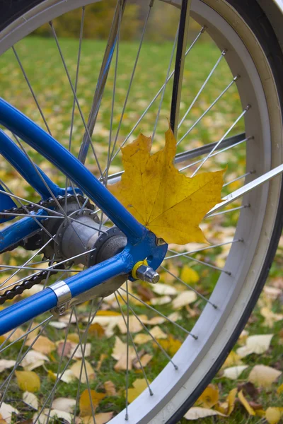 Велосипедне колесо крупним планом — стокове фото