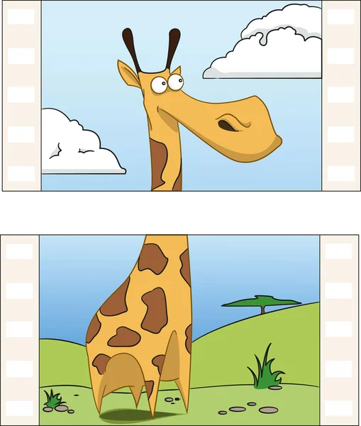 Giraffe on film — Stock Vector