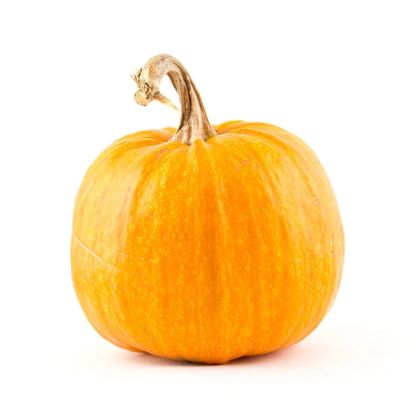 stock image Round pumpkin