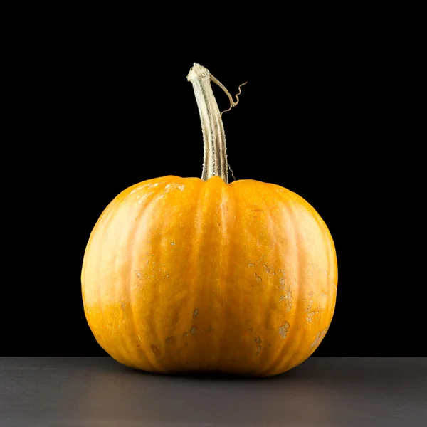 stock image Round pumpkin