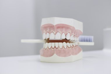 Teeth with tooth-brush on the white table clipart