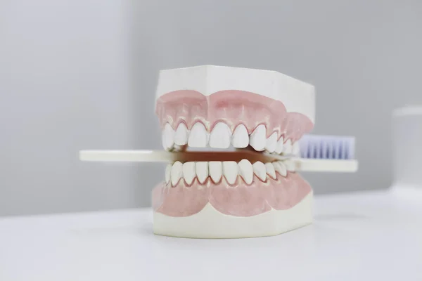 stock image Teeth with tooth-brush on the white table