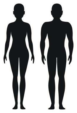 kadın ve erkek orantılı şekiller