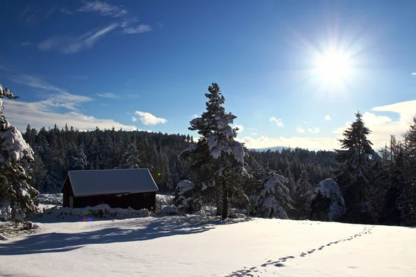 Hus under snön — Stockfoto