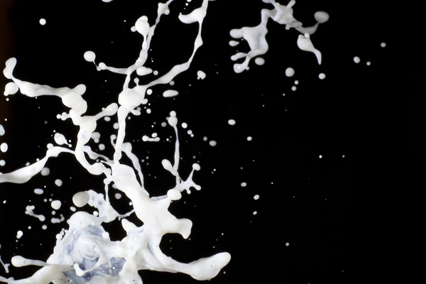 Frash молоко — стокове фото