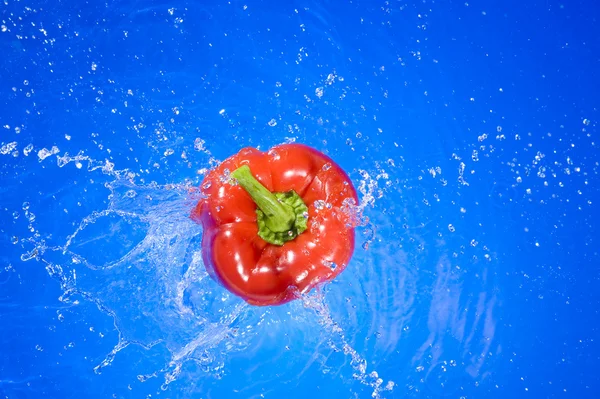 Pepper — Stock Photo, Image