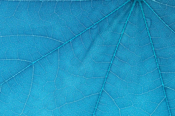 Mavi Soyut — Stok fotoğraf