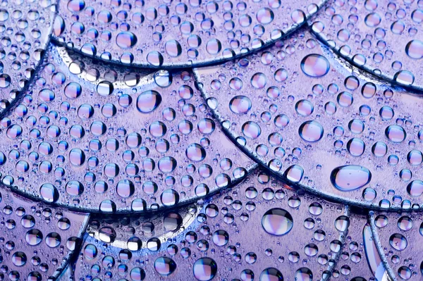 Disco e gotas de água — Fotografia de Stock