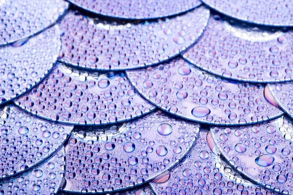 Disk and water drops — Stock Photo, Image