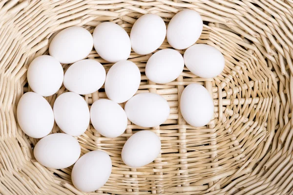 stock image Eggs