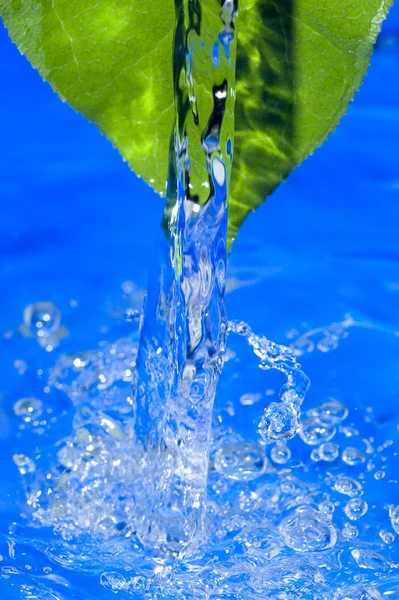 Água e folha — Fotografia de Stock