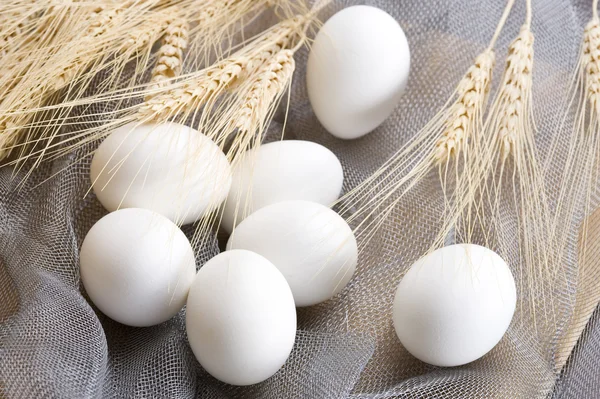 stock image Close-up white chicken eggs on a bed of straw