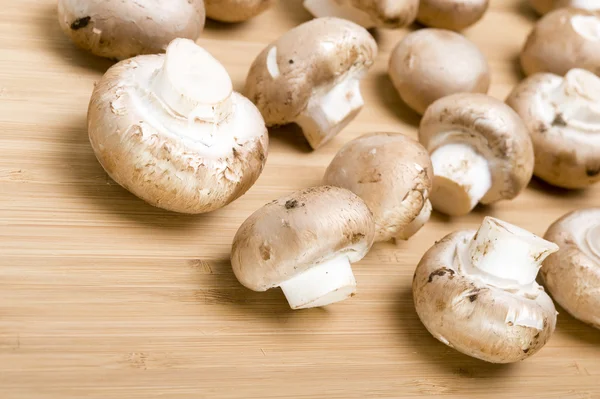 Stock image Mushroon on board