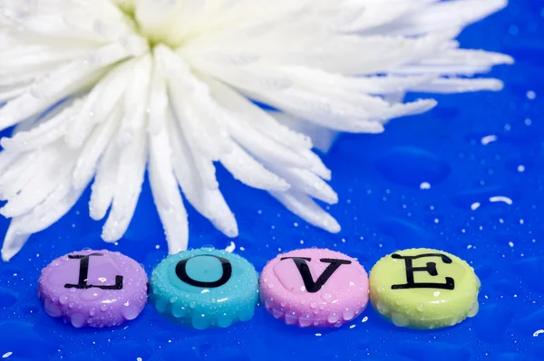 Blume und Liebe — Stockfoto