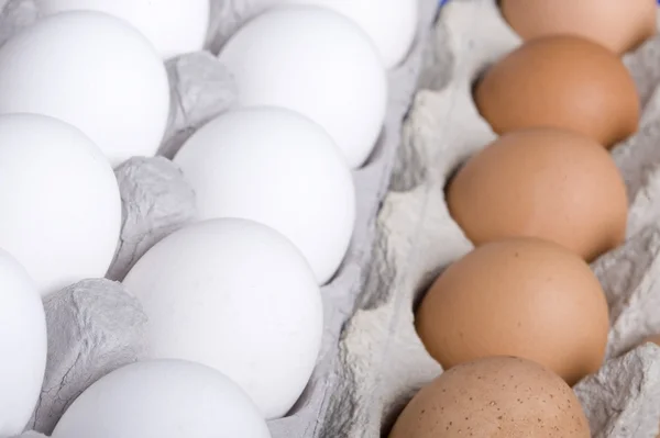 stock image Eggs