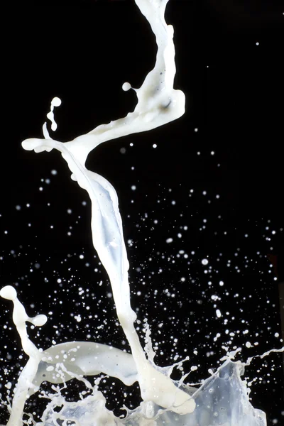 Хлюпалися молока — стокове фото
