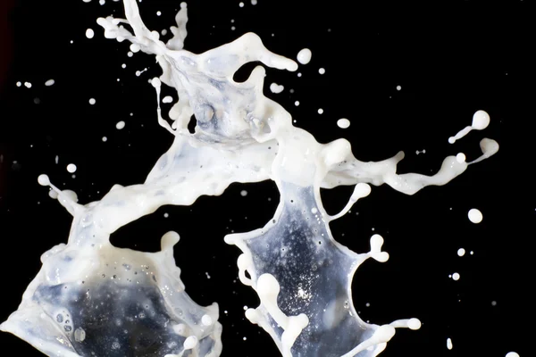 Latte fresco — Foto Stock