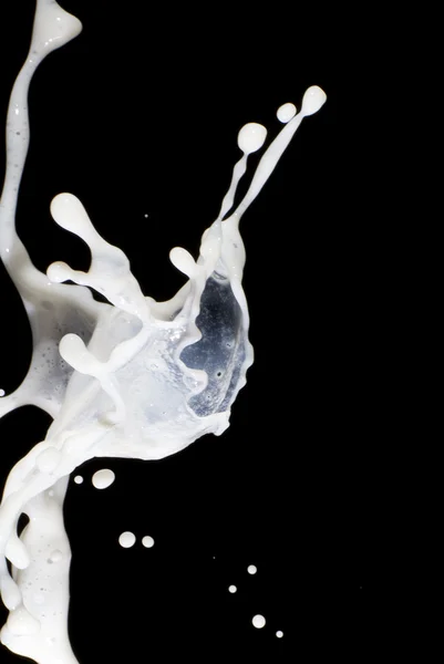 Spatten van melk op de zwarte achtergrond — Stockfoto