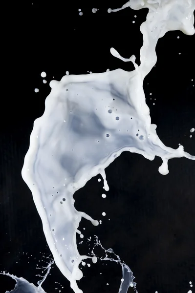 Молоко — стоковое фото
