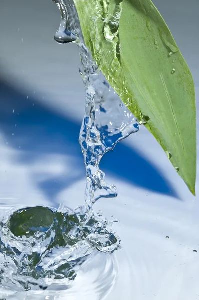 葉と水 — ストック写真