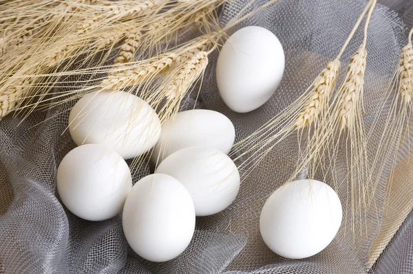 stock image Close-up white chicken eggs