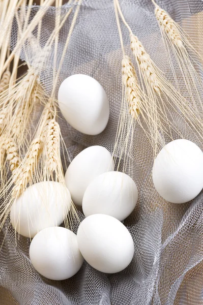 stock image Close-up white chicken eggs