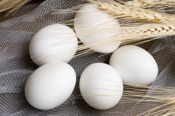 stock image Close-up white chicken eggs