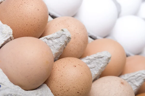 stock image Eggs