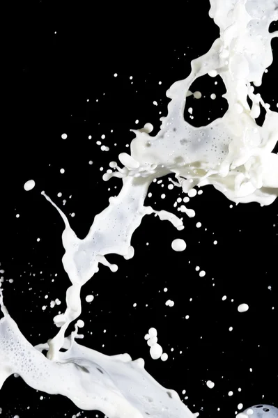 ミルク — ストック写真