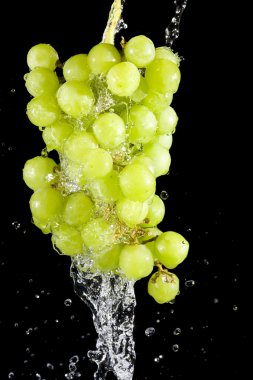 Grapes clipart