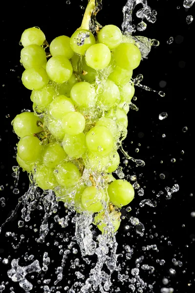 stock image Grapes