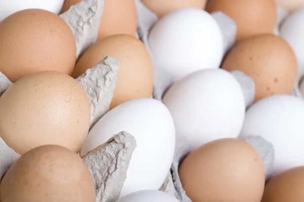 stock image Eggs