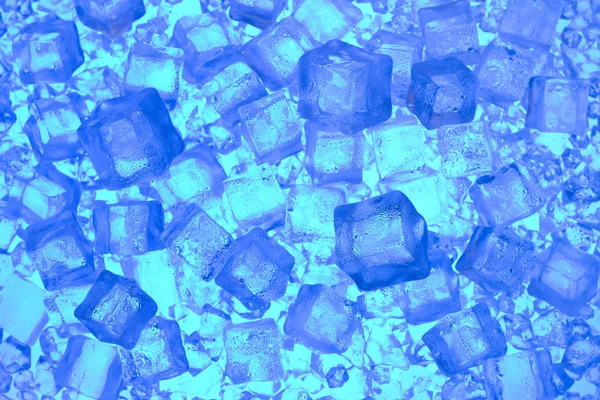 Taze buz — Stok fotoğraf