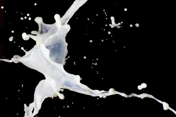 Φρέσκο γάλα — Φωτογραφία Αρχείου