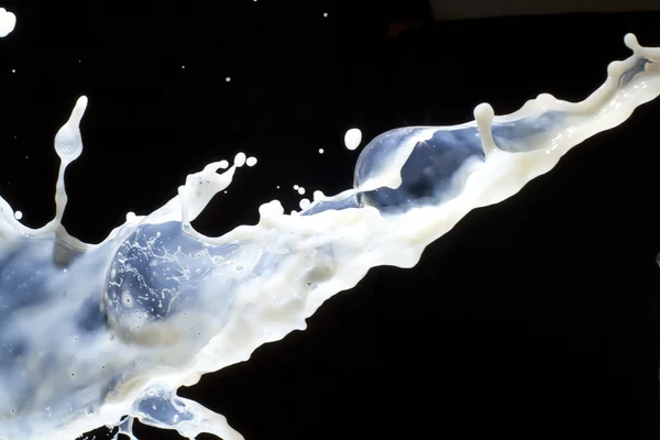 Stříkající mléko — Stock fotografie