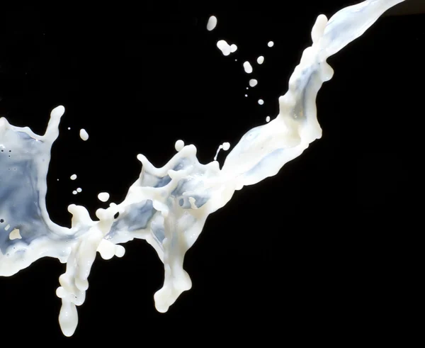 Éclaboussures de lait — Photo