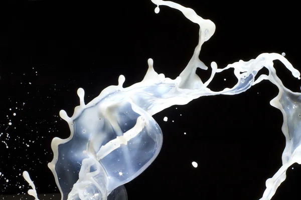 溅牛奶 — 图库照片