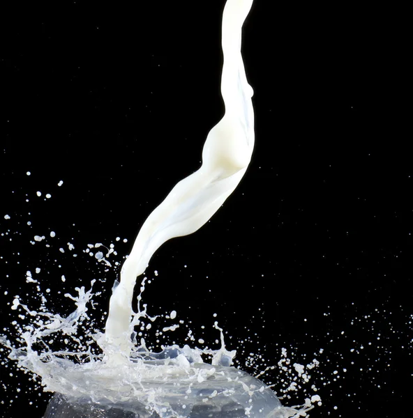 ミルクをしぶき — ストック写真