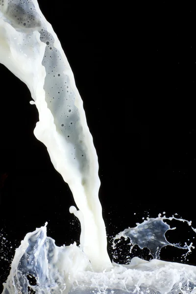 Γάλα εκτοξεύεται — Φωτογραφία Αρχείου