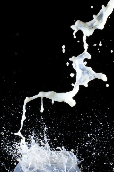 Хлюпалися молока — стокове фото